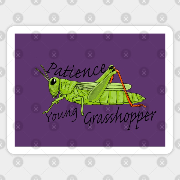 Patience Young Grasshopper Sticker by Lala Mew